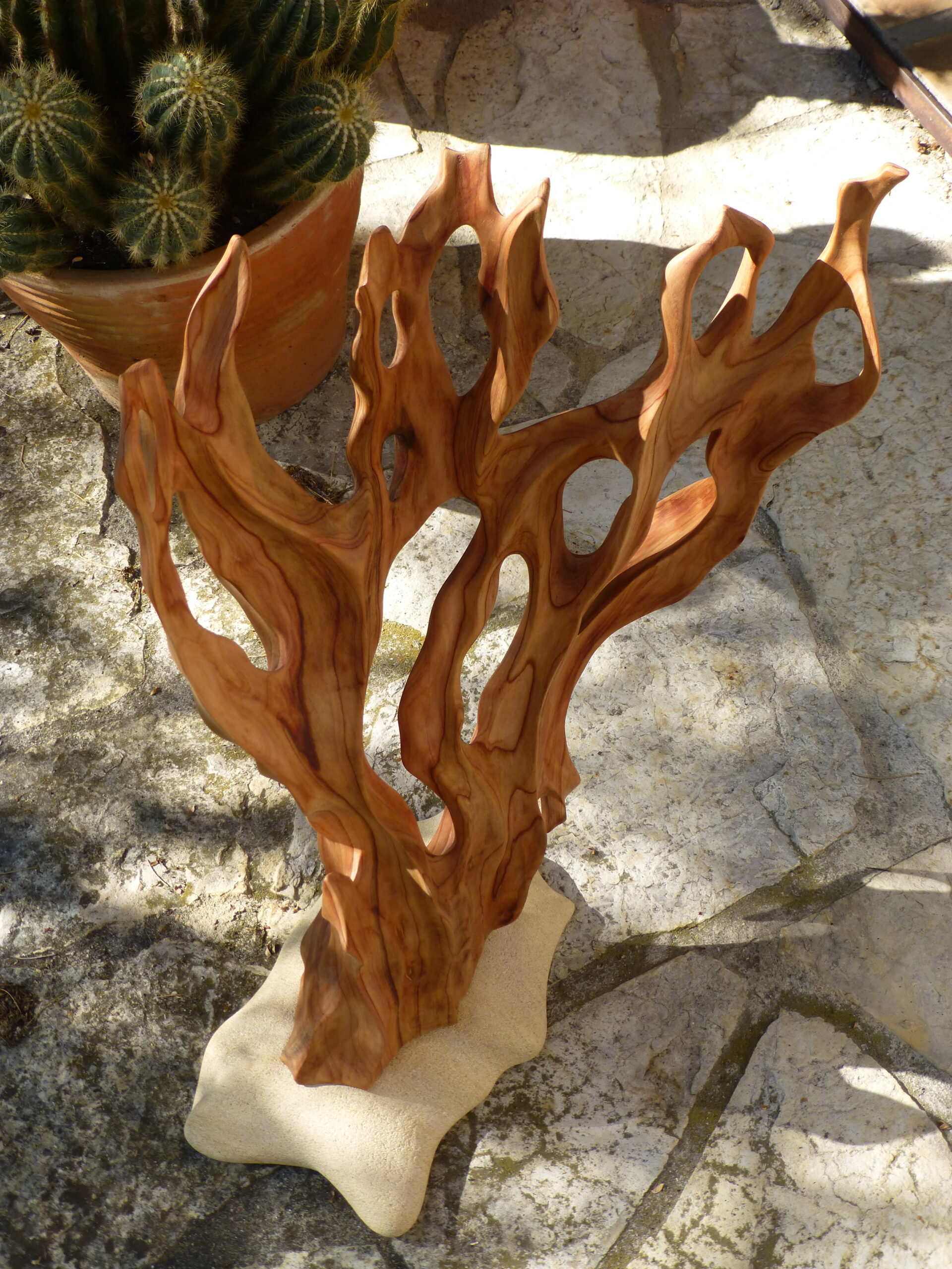 Olivier Bertaux, Corail, thuya