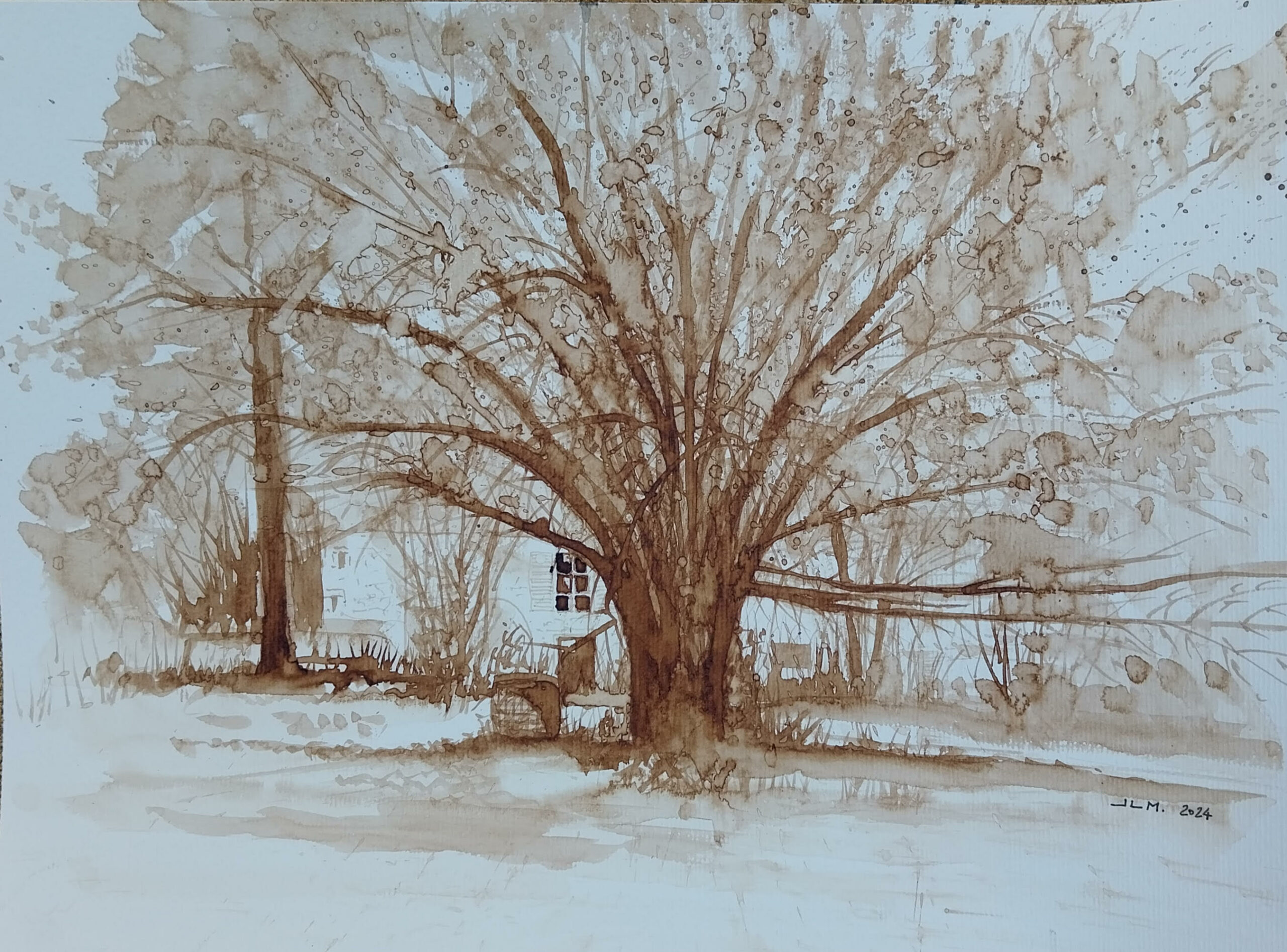 Jean-Louis Martin, Le grand saule, dessin au broux de noix A3